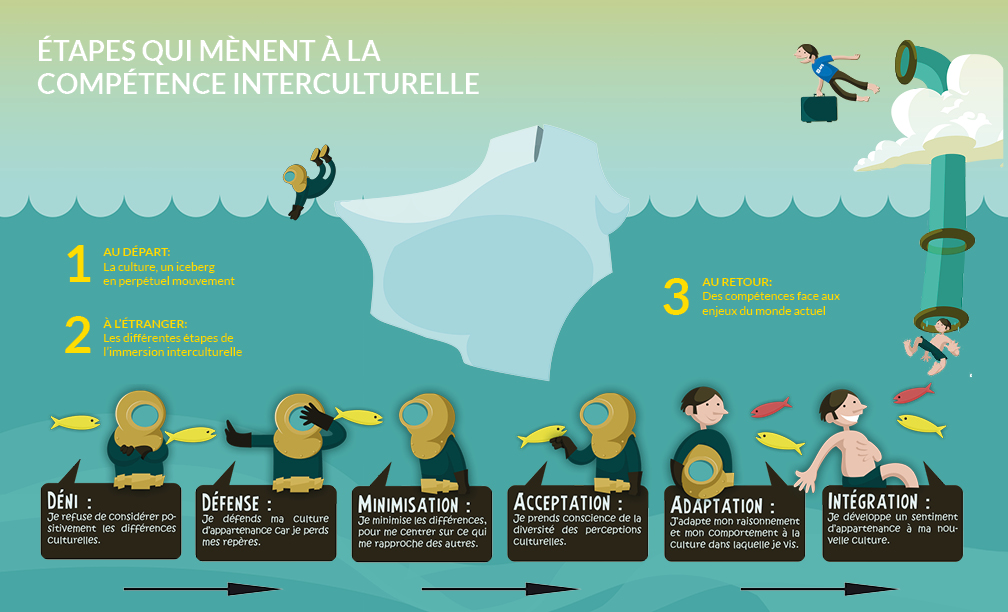 L'image décrit les étapes d'apprentissage interculturel : déni, défense, minimisation, acceptation, adaptation, intégration